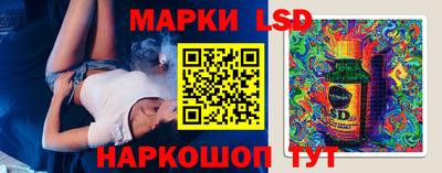 сатива Гатчина