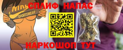 сатива Гатчина