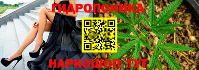 сатива Гатчина