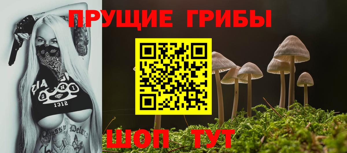 Псилоцибиновые грибы Magic Shrooms Нерюнгри